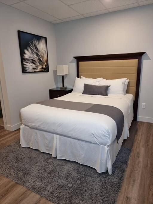 Cozy Sweet Studio #3. Ten Min To D.T Ottawa Gatineau Ngoại thất bức ảnh